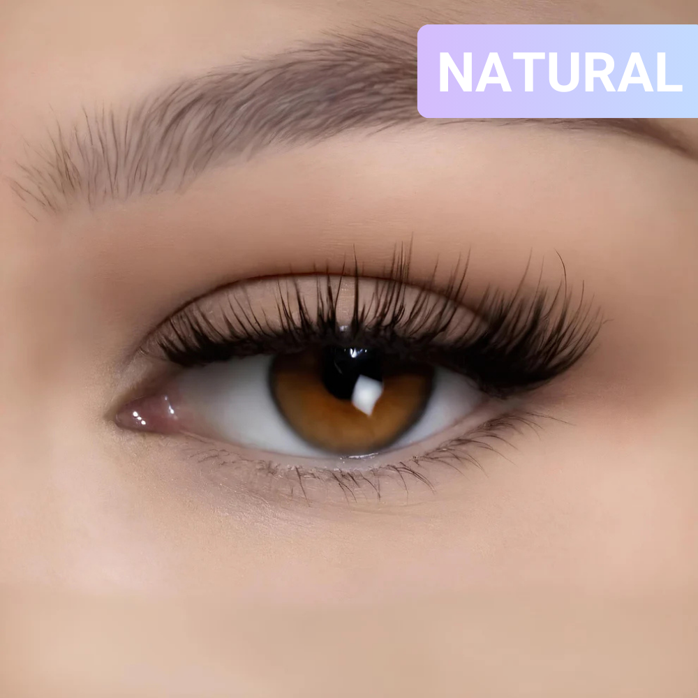 Signature Magnetic Lashes
