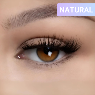 Signature Magnetic Lashes