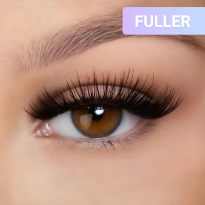 Signature Magnetic Lashes